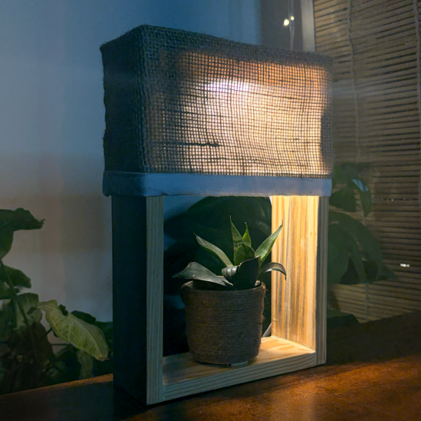 Lamps with a living plant