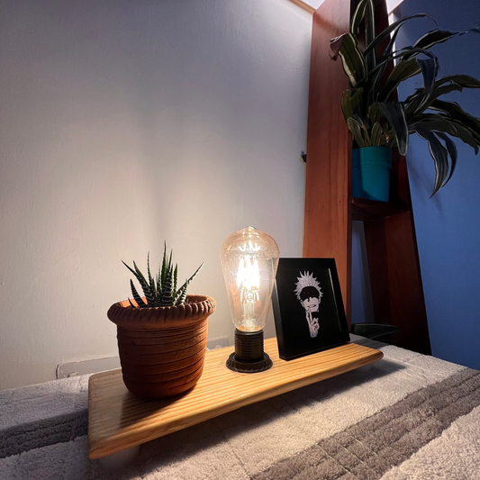 Desk Glow wooden Lamp  with Succulent -A beautiful way to organize your desk and bring freshness.